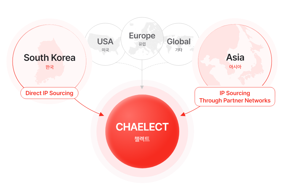 IP Licensing